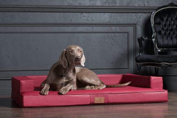 02 tierlando gibson orthopaedisches hundebett kunstleder dunkelrot 2021 3.jpg