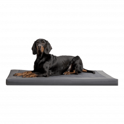 ca al 02 graphit carlos orthopaedisches hundebett kunstleder velours mit hund 1.png