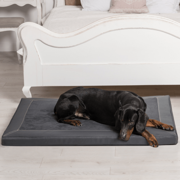 carlos vip orthopädische hundematratze