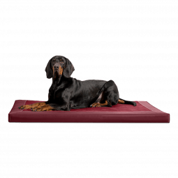 ca al 04 dunkelrot carlos orthopaedisches hundebett kunstleder velours mit hund 1.png