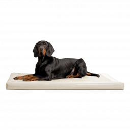 ca al 05 creme carlos orthopaedisches hundebett kunstleder velours mit hund 1.png