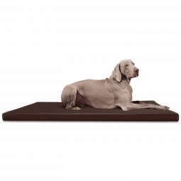 ca ll 01 braun tierlando orthopaedische hundematratze carlos kunstleder 1.png