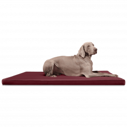 ca ll 04 dunkelrot tierlando orthopaedische hundematratze carlos kunstleder 1 1.png