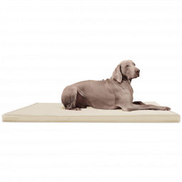ca ll 05 creme tierlando orthopaedische hundematratze carlos kunstleder 1.png