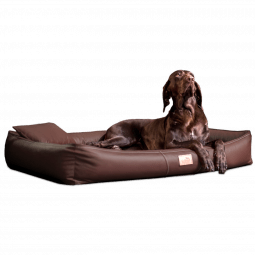 cff ll 01 braun orthopaedisches hundebett tierlando clifford kunstleder 1.png
