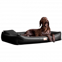 cff ll 03 schwarz orthopaedisches hundebett tierlando clifford kunstleder 1.png