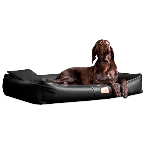 cff ll 03 schwarz orthopaedisches hundebett tierlando clifford kunstleder 1.png
