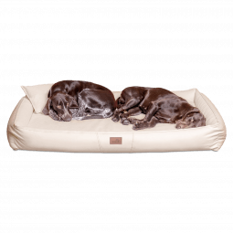 cff ll 05 creme orthopaedisches hundebett tierlando clifford kunstleder 1 1.png