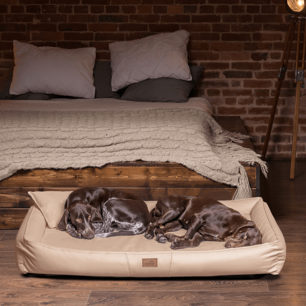 cff ll 14 beige orthopaedisches hundebett tierlando clifford kunstleder 2.png