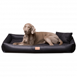 cff tl 03 schwarz orthopaedisches hundebett tierlando clifford kunstleder velours grosse hunde matrat.png