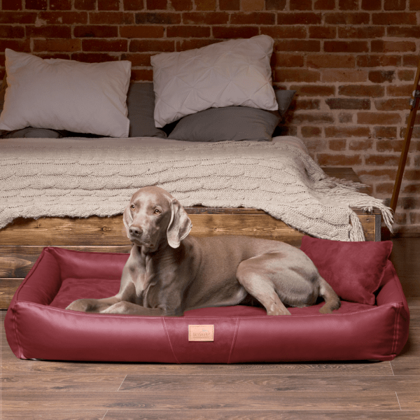 cff tl 04 dunkelrot orthopaedisches hundebett tierlando clifford kunstleder velours grosse hunde matr 2.png