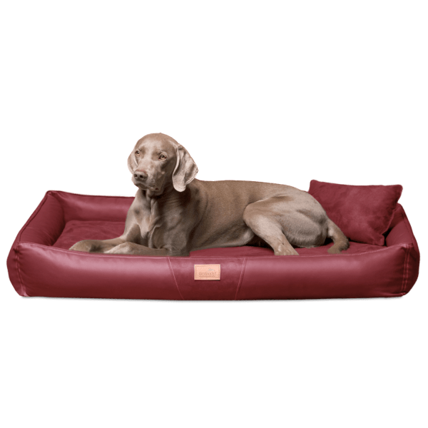 cff tl 04 dunkelrot orthopaedisches hundebett tierlando clifford kunstleder velours grosse hunde matr.png