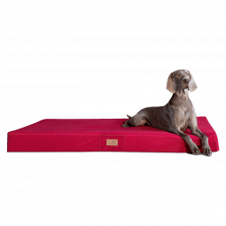 fl 04 dunkelrot orthopaedisches hundebett floki ortho plus tierlando velours weich triton 1.png
