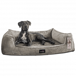 fra 02 graphit taupe tierlando orthopaedisches hundebett franklin kuschelig 1 1.png
