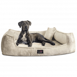 franklin teddy orthopädisches hundebett