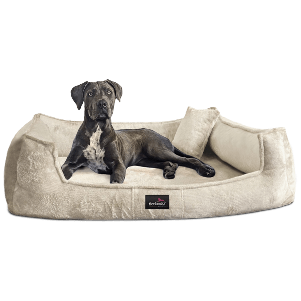 franklin teddy orthopädisches hundebett