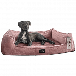 fra 07 altrosa tierlando orthopaedisches hundebett franklin kuschelig 1.png