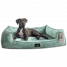 fra 11 mint tierlando orthopaedisches hundebett franklin kuschelig weich 1.png