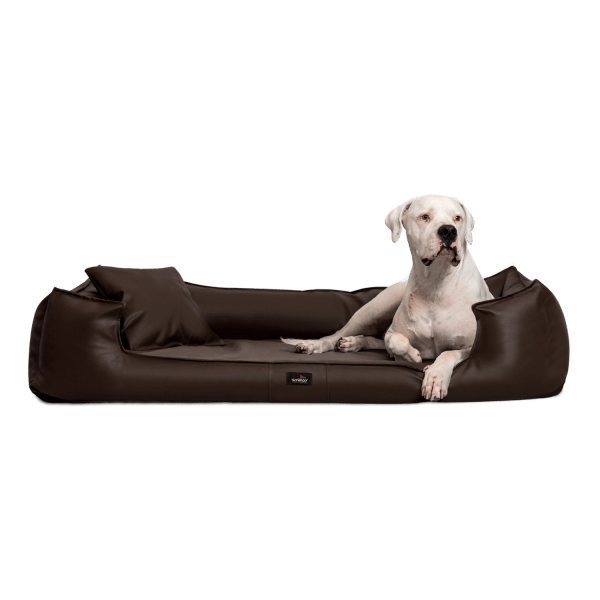 gl 01 aa braun goofy orthopaedisches hundebett kuntleder mit schonbezug pflegeleicht.png