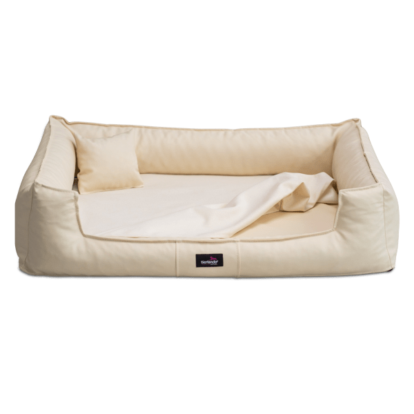 goofy orthopaedisches hundebett kunstleder mit schonbezug pflegeleicht hund 05 creme 5.png