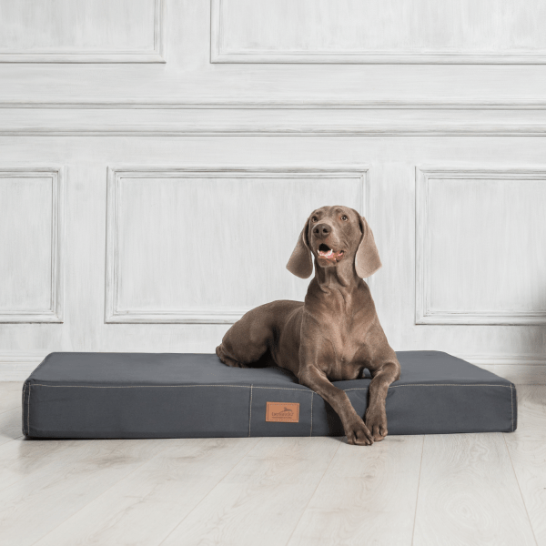 h 02 graphit hundebett hundematratze hugo tierlando pflegeleicht xxxl 3.png