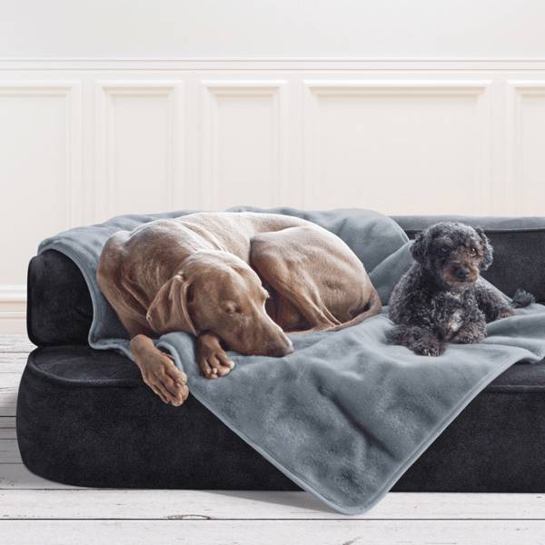 lilly flauschige haustier , welpen , katzen , plüschdecke | hundedecke