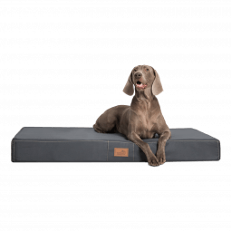 hv 02 graphit orthopaedisches hundebett hundematratze hugo tierlando pflegeleicht xxxl 1.png