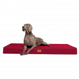 hv 04 dunkelrot orthopaedisches hundebett hundematratze hugo tierlando pflegeleicht xxxl 1 1.png