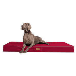 hv 04 dunkelrot orthopaedisches hundebett hundematratze hugo tierlando pflegeleicht xxxl 1.png