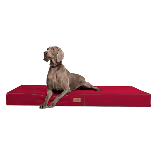 hv 04 dunkelrot orthopaedisches hundebett hundematratze hugo tierlando pflegeleicht xxxl 1.png