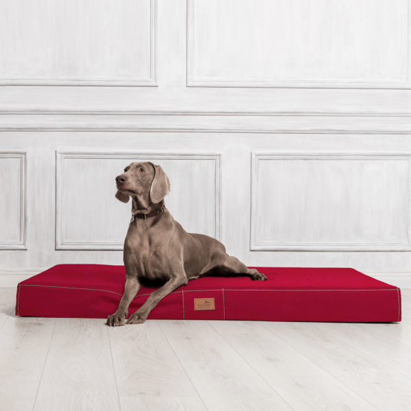 hv 04 dunkelrot orthopaedisches hundebett hundematratze hugo tierlando pflegeleicht xxxl 3.png
