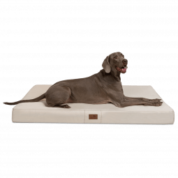 hv 05 creme orthopaedisches hundebett hundematratze hugo tierlando pflegeleicht xxxl 1.png