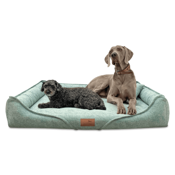 k 12 mint tierlando orthopaedisches hundebett ken kuscheliger bezug mit hunden 1.png