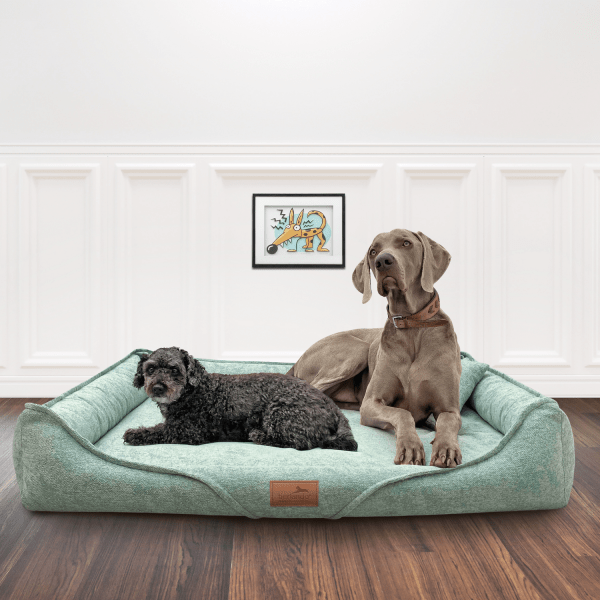 k 12 mint tierlando orthopaedisches hundebett ken kuscheliger bezug mit hunden 3.png