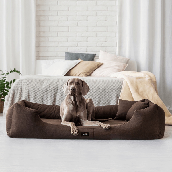 m0 v 01 braun tierlando weiches hundebett moritz orthopaedisches hundebett velours 3.png