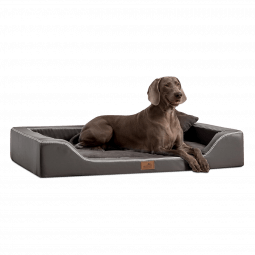 mdy tl 02 graphit melody orthopaedisches hundebett luxus latex tierlando xxl kunstleder 1.png
