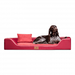 mdy tl 04 dunkelrot melody orthopaedisches hundebett luxus latex tierlando xxl kunstleder 1.png