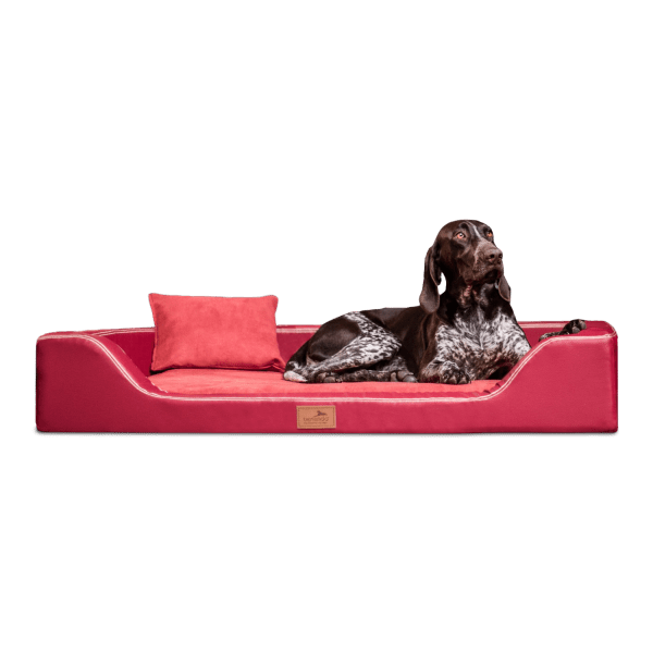 mdy tl 04 dunkelrot melody orthopaedisches hundebett luxus latex tierlando xxl kunstleder 1.png
