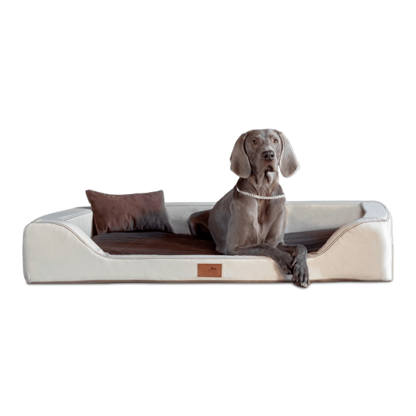 mdy tl 51 creme braun melody orthopaedisches hundebett luxus latex tierlando xxl kunstleder 1 3.png