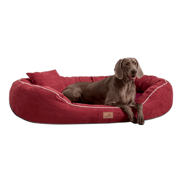 mr 04 dunkelrot tierlando orthopaedisches hundebett marlon velours visco memory foam anti rutsch kus.png
