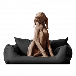 n 02 graphit tierlando hundebett nemo hund 1.png
