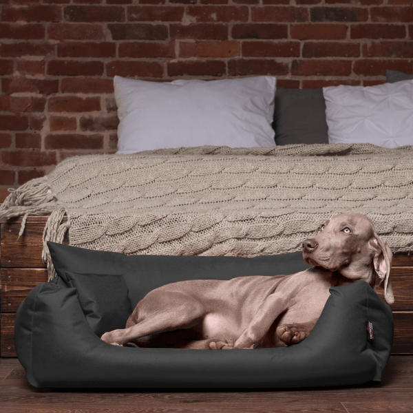 n 02 graphit tierlando hundebett nemo hund 3.png