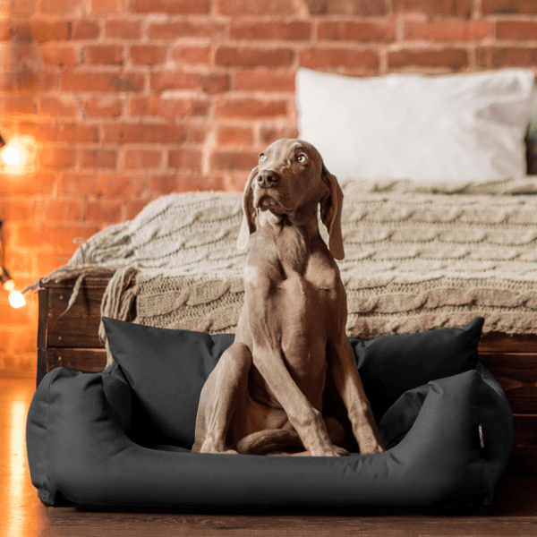 hundesofa s m l hundekorb katzenbett 65 80 100cm | nemo hundebett