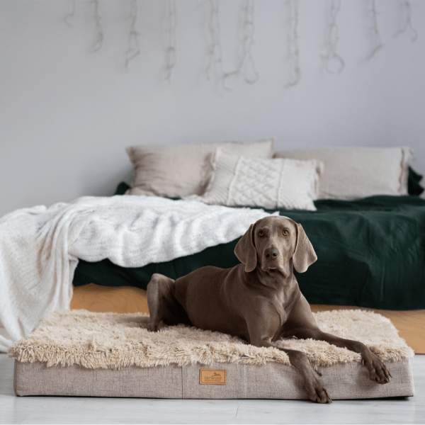 orthopaedische hundematratze kuschelig weich pluesch meliert polsterstoff pablo shaggy 14 beige.png