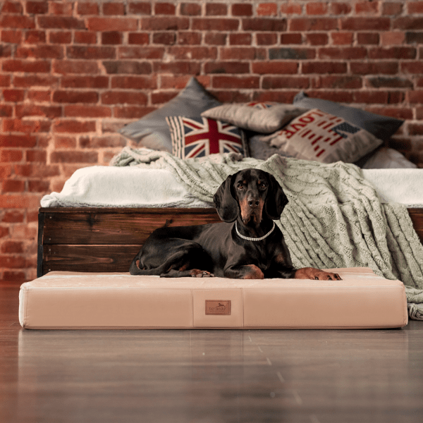 orthopaedisches hundebett floki ortho plus tierlando velours weich triton 14 beige 1.png