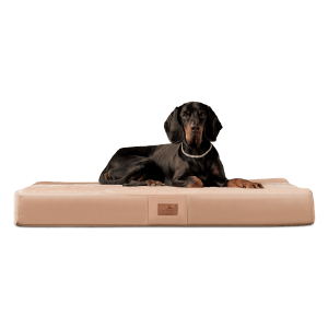 orthopaedisches hundebett floki ortho plus tierlando velours weich triton 14 beige 1 ai brush remove.png