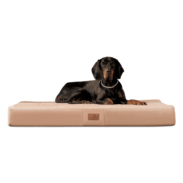 orthopaedisches hundebett floki ortho plus tierlando velours weich triton 14 beige 1 ai brush remove.png