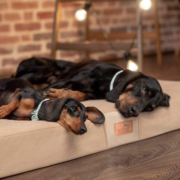 floki orthopädische hundematratze