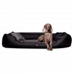 orthopaedisches hundebett nestor hundebett hund 1.png