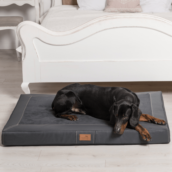 os al 02 graphit orthopaedische hundematratze oscar tierlando soft design hundematte xxl 4.png